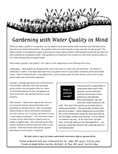 PDF Version of this Rain Garden Pamphlet. (printer friendly) ,