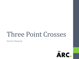 Three Point Crosses