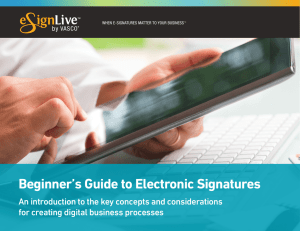 Beginner`s Guide to Electronic Signatures