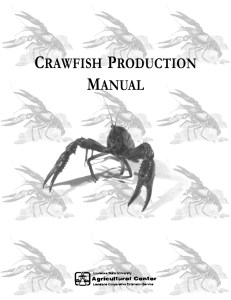 CRAWFISH PRODUCTION MANUAL