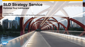 SLD Strategy Service_Customer_Presentation_ALM_Site