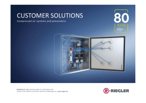 about RIEGLER customer solutions.