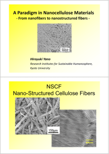 NSCF Nano-Structured Cellulose Fibers