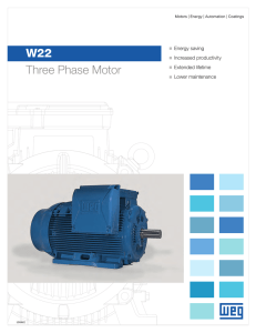 W22 Three Phase Motor