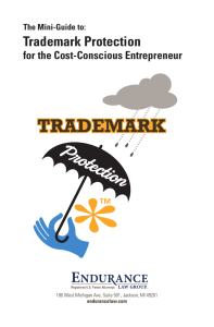 Trademark Protection - Endurance Law Group