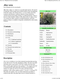 Aloe vera - Wikipedia, the free encyclopedia