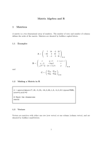 Matrix Algebra and R 1 Matrices