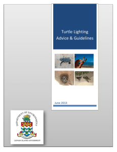 Beach lighting guidelines June 2013