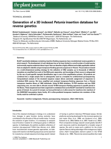 Generation of a 3D indexed Petunia insertion database for reverse
