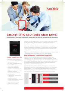SanDisk® X110 SSD (Solid State Drive)