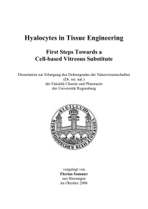 Hyalocytes in Tissue Engineering