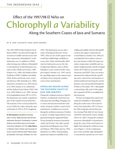 Chlorophyll a Variability