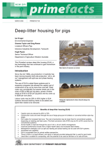 Deep-litter housing for pigs - NSW Department of Primary Industries
