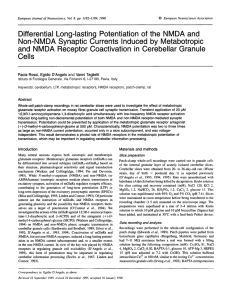 Differential Long-lasting Potentiation of the NMDA and Non