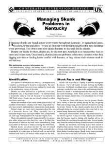 For-49: Managing Skunk Problems in Kentucky