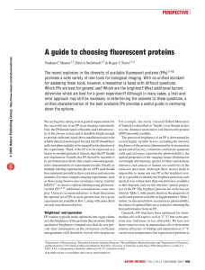 A guide to choosing fluorescent proteins