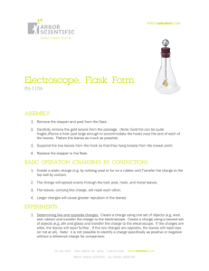 Electroscope, Flask Form