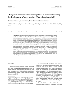 Changes of inducible nitric oxide synthase in aortic cells during the
