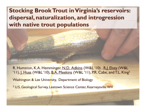 Stocking Brook Trout in Virginia`s reservoirs