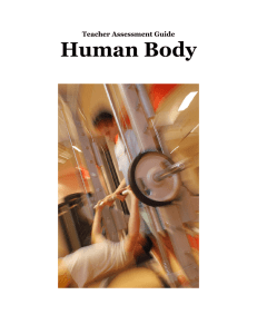 Human Body Assessment Guide