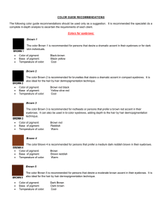 COLOR GUIDE RECOMMENDATIONS The following color guide