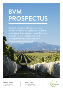 our prospectus HERE - Berakah Vineyard Management