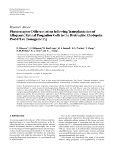 Photoreceptor Differentiation following Transplantation of Allogeneic