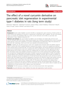 The effect of a novel curcumin derivative on pancreatic islet