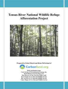 Tensas River National Wildlife Refuge Afforestation Project