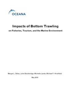 Impacts of Bottom Trawling