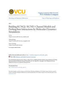 Building KCNQ1/KCNE1 Channel Models and Probing their