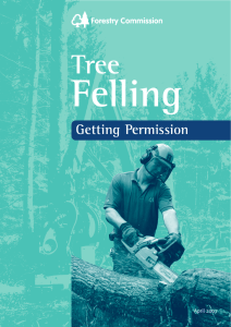 Tree Felling - Getting Permission