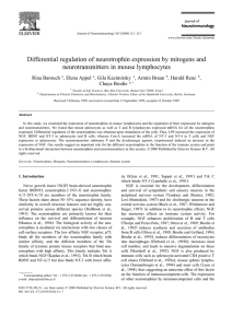 Differential regulation of neurotrophin expression by mitogens and
