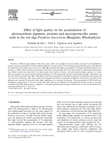 Effect of light quality on the accumulation of photosynthetic pigments