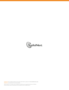 SafeNet Network Encryption Solutions