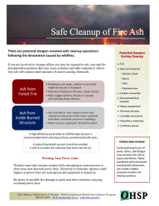 Safe Cleanup of Fire Ash Safe Cleanup of Fire Ash
