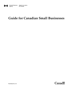 Guide for Canadian Small Businesses