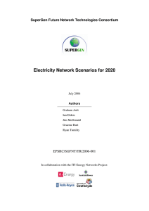 Electricity Network Scenarios for 2020