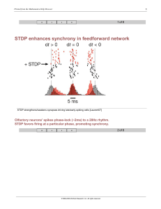 STDP enhances synchrony in feedforward network