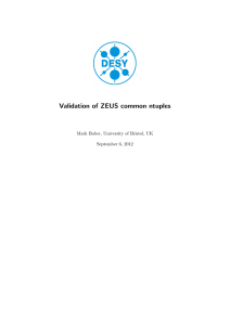 Validation of ZEUS common ntuples