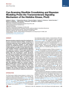 Cys-Scanning Disulfide Crosslinking and Bayesian