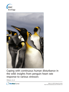 Coping with continuous human disturbance in the wild: insights from