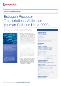 Estrogen Receptor Transcriptional Activation (Human Cell Line