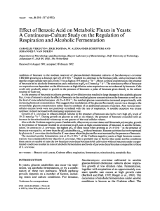 Effect of benzoic acid on metabolic fluxes in yeasts