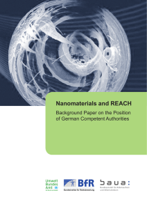 Nanomaterials and REACH Background Paper on the Position of