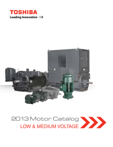 2013 Motor Catalog - ESRmotors.com