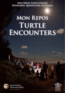 Mon Repos Turtle Encounters brochure