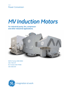 MV Induction Motors