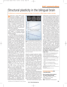 Structural plasticity in the bilingual brain