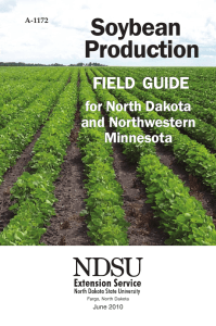 Soybean Production - NDSU Agriculture